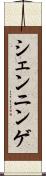 シェンニンゲ Scroll