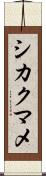 シカクマメ Scroll