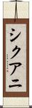 シクアニ Scroll