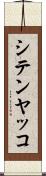 シテンヤッコ Scroll