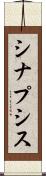 シナプシス Scroll