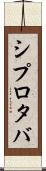 シプロタバ Scroll