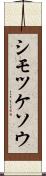 シモツケソウ Scroll