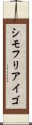 シモフリアイゴ Scroll