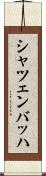 シャツェンバッハ Scroll