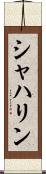 シャハリン Scroll