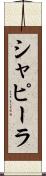 シャピーラ Scroll