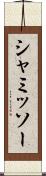 シャミッソー Scroll