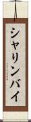 シャリンバイ Scroll