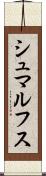 シュマルフス Scroll