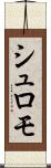 シュロモ Scroll