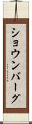 ショウンバーグ Scroll