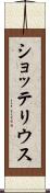 ショッテリウス Scroll