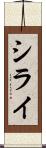 シライ Scroll