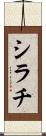 シラチ Scroll