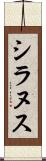 シラヌス Scroll