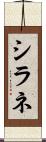 シラネ Scroll