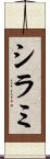 シラミ Scroll