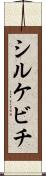 シルケビチ Scroll