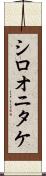 シロオニタケ Scroll
