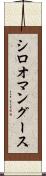シロオマングース Scroll