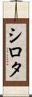 シロタ Scroll