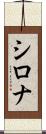 Shirona Scroll