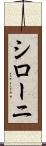 シローニ Scroll