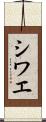 シワエ Scroll