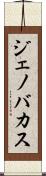 Jenovacus Scroll