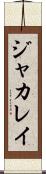 ジャカレイ Scroll