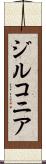 ジルコニア Scroll