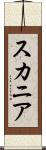 スカニア Scroll