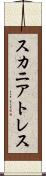スカニアトレス Scroll