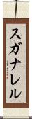 スガナレル Scroll