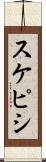 スケピシ Scroll