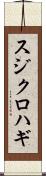 スジクロハギ Scroll