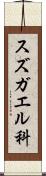 スズガエル科 Scroll