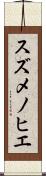 スズメノヒエ Scroll
