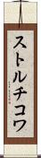 ストルチコワ Scroll