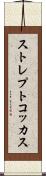 ストレプトコッカス Scroll