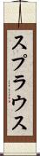 スプラウス Scroll
