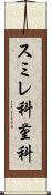 スミレ科 Scroll