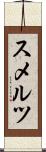 スメルツ Scroll