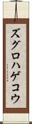 ズグロハゲコウ Scroll