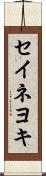 セイネヨキ Scroll