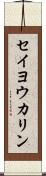 セイヨウカリン Scroll