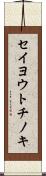 セイヨウトチノキ Scroll