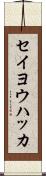 セイヨウハッカ Scroll