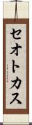 セオトカス Scroll